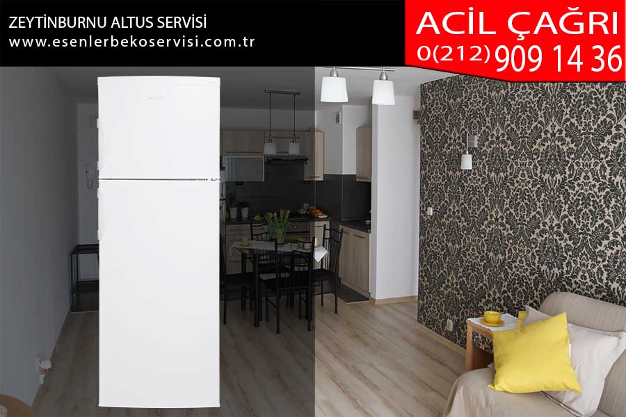 zeytinburnu altus servisi